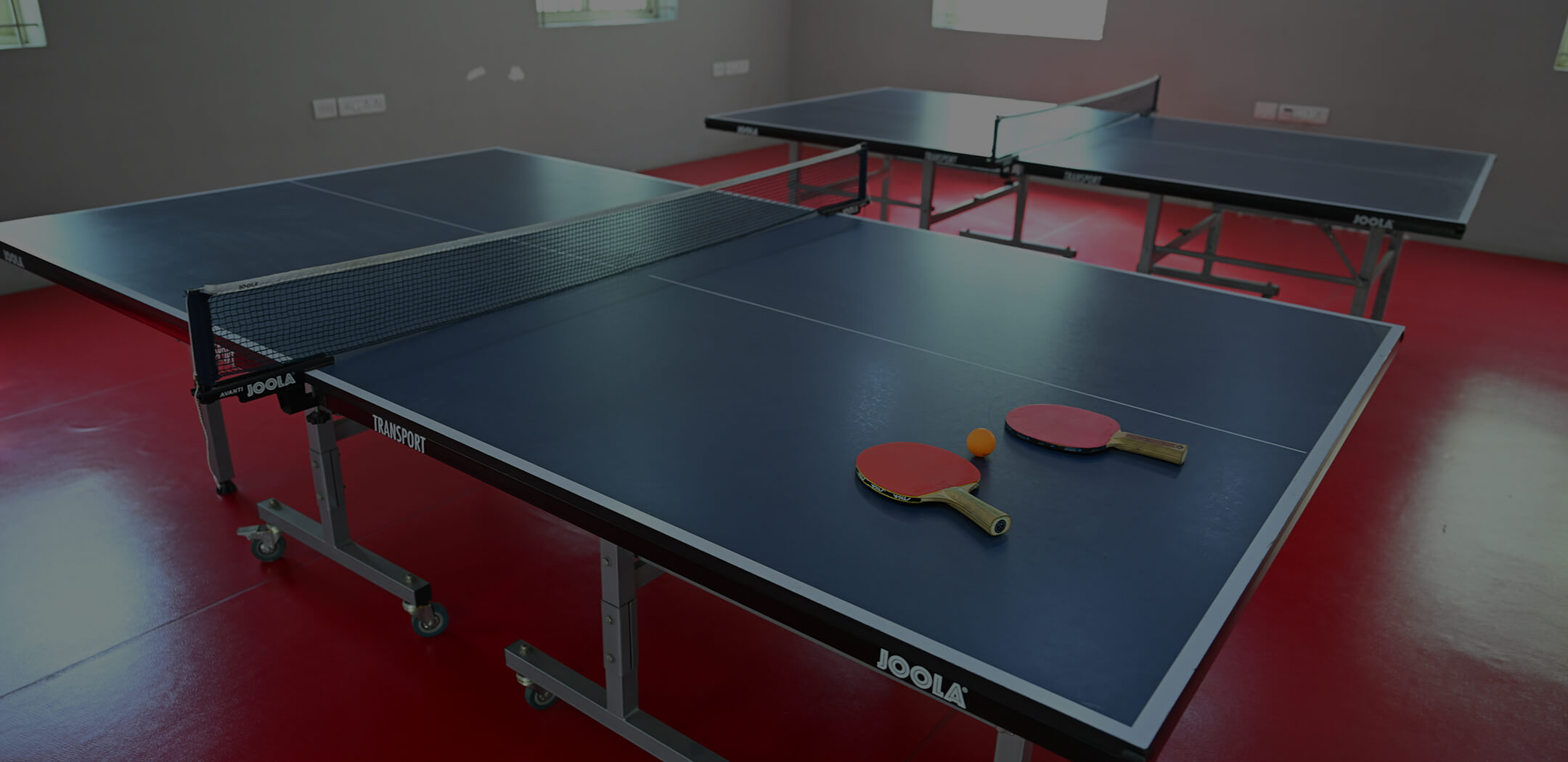 Table Tennis Court in Brookefield