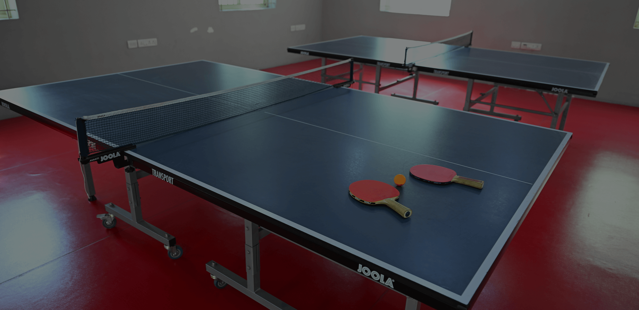 Table Tennis In Whitefield